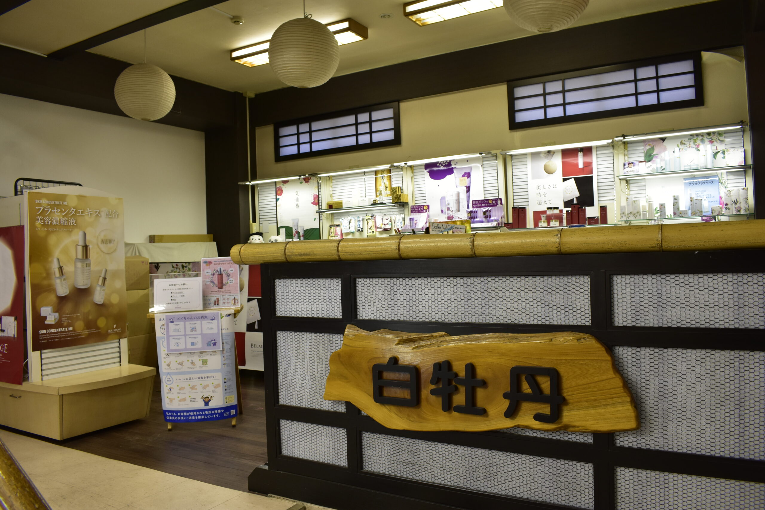 白牡丹